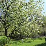 Lato 2026 Nad Jeziorem Zlotnickim Prywatna Plaza Tuz Przy Lesie Oraz Restauracja 리조트 즈워티 포토크