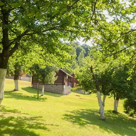 Lato 2026 Nad Jeziorem Zlotnickim Prywatna Plaza Tuz Przy Lesie Oraz Restauracja Resort Zloty Potok (Luban)