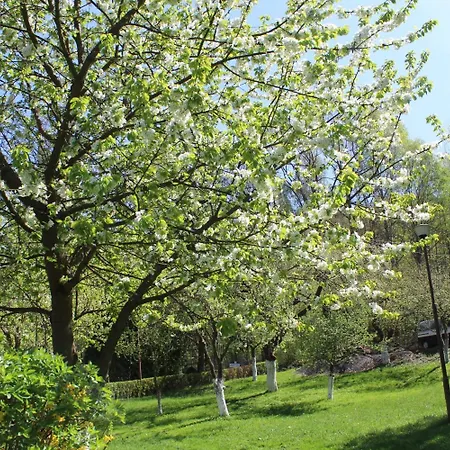 Zloty Potok Resort Resort Zloty Potok (Luban)