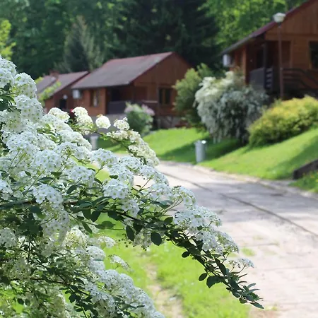 Zloty Potok Resort 3* Zlatý Potok