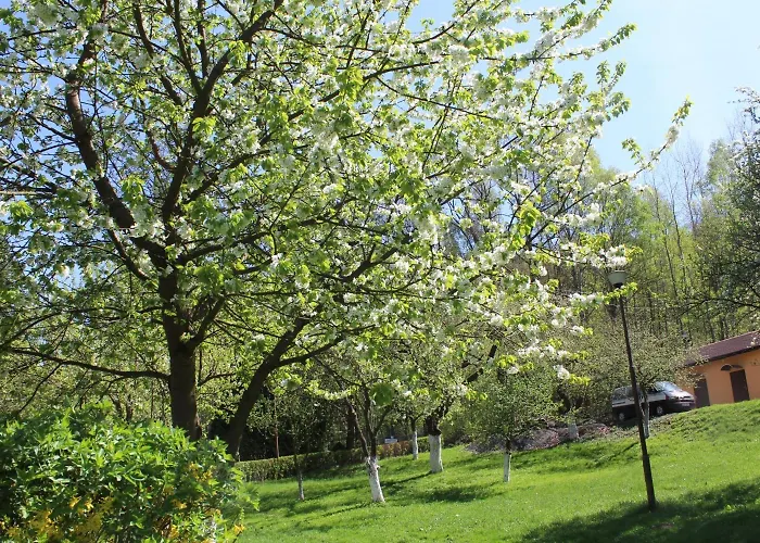 Zloty Potok Resort Resort Zloty Potok (Luban)